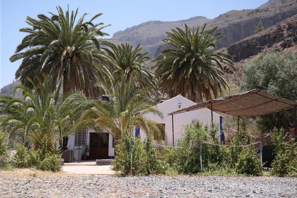 Ecotara Canary Islands Casa de hóspedes Fátaga Exterior foto